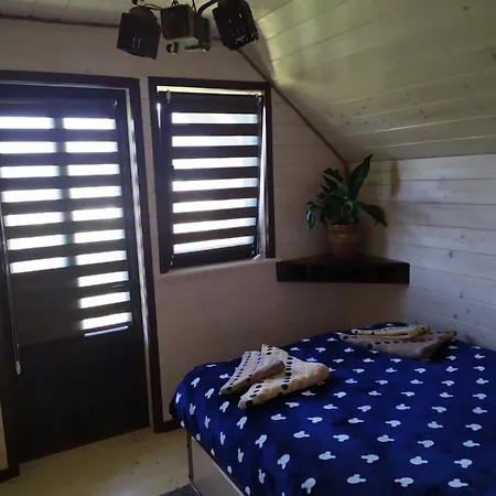 карпатська мрія *