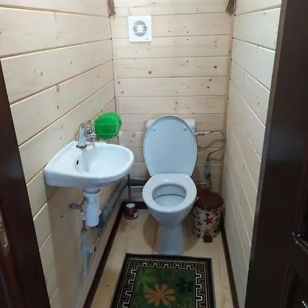 карпатська мрія Holiday home *